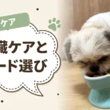 犬の心臓病とドッグフード|療法食と市販フードの違い・選び方とおすすめ