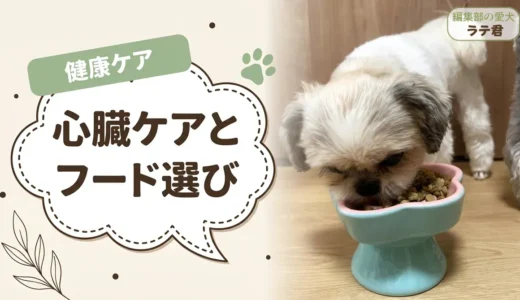 犬の心臓病とドッグフード｜療法食と市販フードの違い・選び方とおすすめ