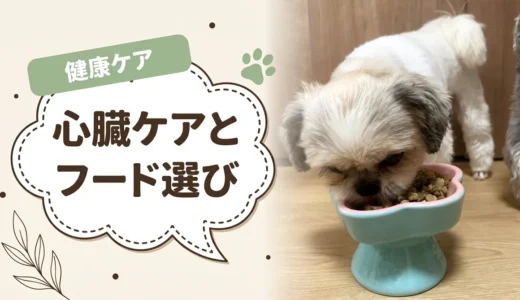 犬の心臓病とドッグフード｜療法食と市販フードの違い・選び方とおすすめ