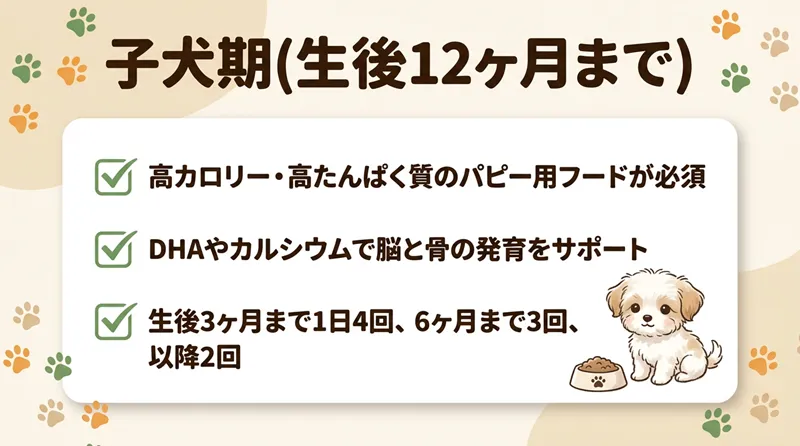 子犬期（生後12ヶ月まで）