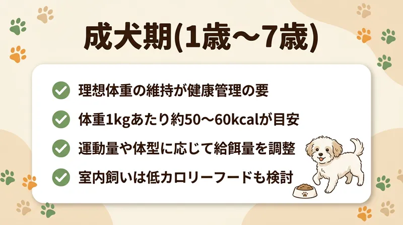 成犬期（1歳〜7歳）