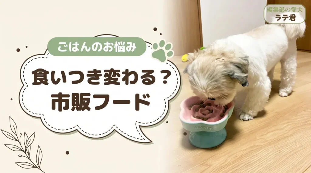 犬が必ず食べるドッグフードは市販にある?食べない愛犬に試す順番と選び方