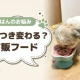 犬が必ず食べるドッグフードは市販にある？食べない愛犬に試す順番と選び方