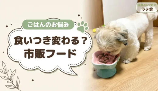 犬が必ず食べるドッグフードは市販にある？食べない愛犬に試す順番と選び方