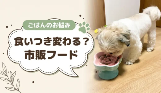 犬が必ず食べるドッグフードは市販にある？食べない愛犬に試す順番と選び方