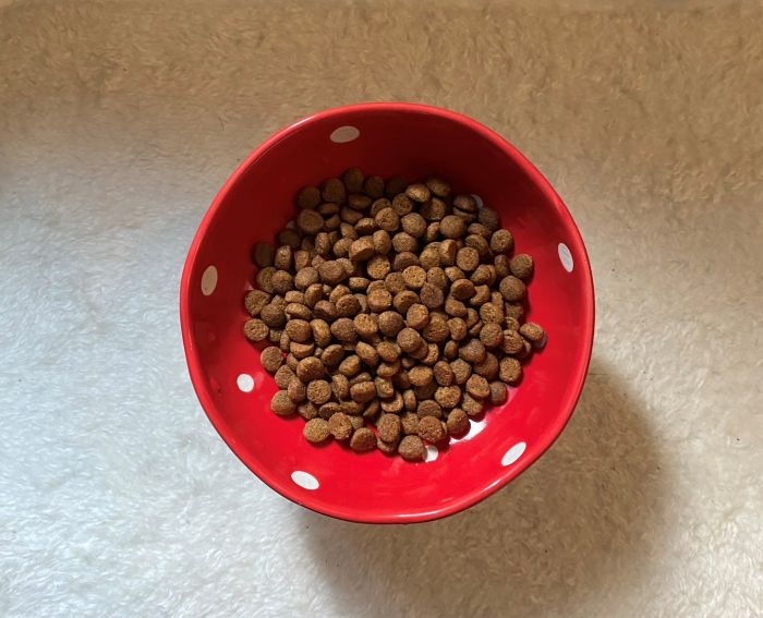 アランズナチュラル　粒