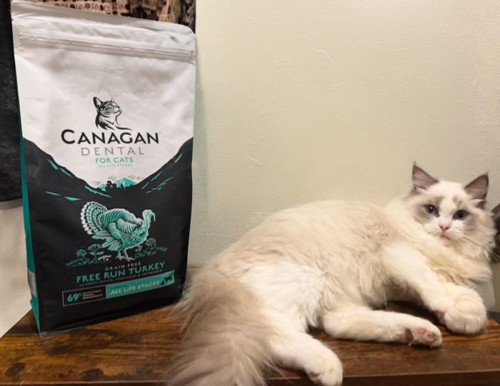 カナガンキャットフード