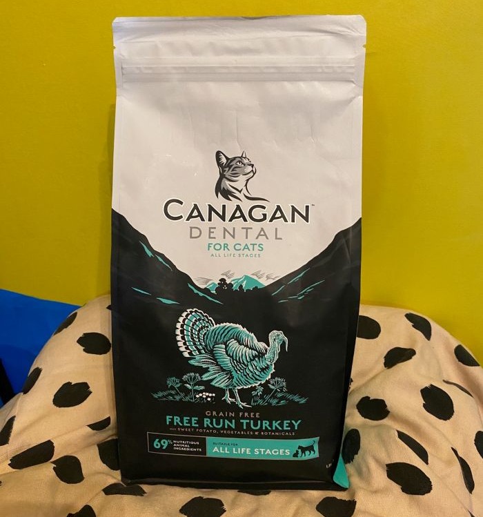 カナガンデンタル