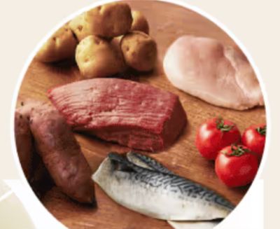 犬猫生活キャットフード