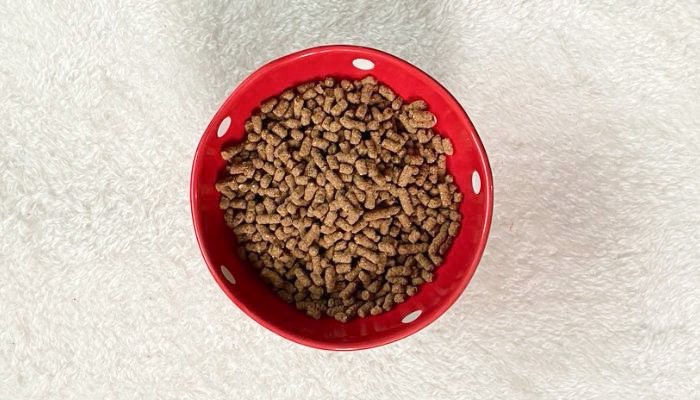 犬猫生活キャットフード粒