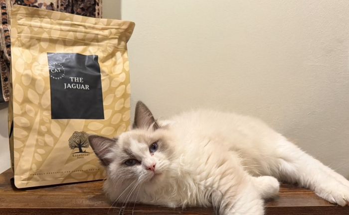 ジャガーキャットフード