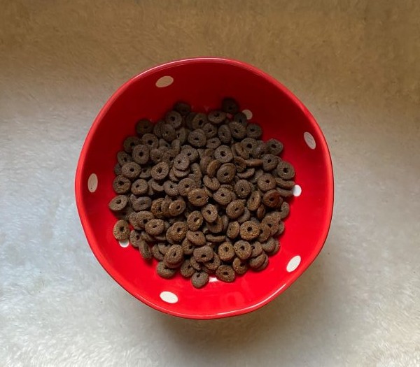 ジャガーキャットフード粒