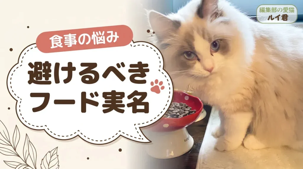 食べてはいけないキャットフード実名リストの出どころと、避けるべき成分・市販フードの安全性