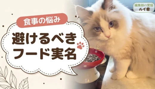 食べてはいけないキャットフードの実名リストはどこで読める？出どころ（2018年週刊新潮）と危険とされた成分の事実