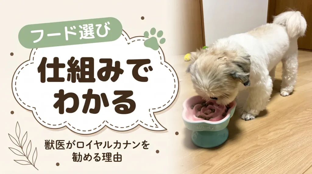 獣医はなぜロイヤルカナンを勧めるのか？理由と「やめた方がいい・危険」説の真偽を解説