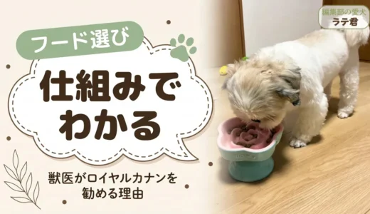 獣医はなぜロイヤルカナンを勧めるのか？理由と「やめた方がいい・危険」説の真偽を解説