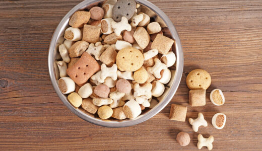 ワーストランキングに入るドッグフードの特徴とは？買ってはいけない商品を避ける本当のランキング5選
