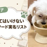 食べてはいけないペットフード実名リストとは?週刊新潮全6回の内容と愛犬のフードを確認する手順【獣医師監修】