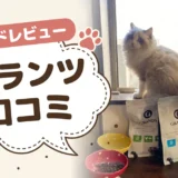 グランツキャットフードの口コミ・評判｜「食べない」「高い」は本当か実際に与えて検証