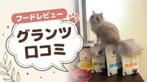 グランツキャットフードの口コミ・評判｜「食べない」「高い」は本当か実際に与えて検証