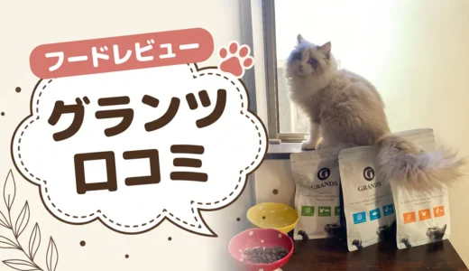 グランツキャットフードの口コミ・評判｜「食べない」「高い」は本当か実際に与えて検証