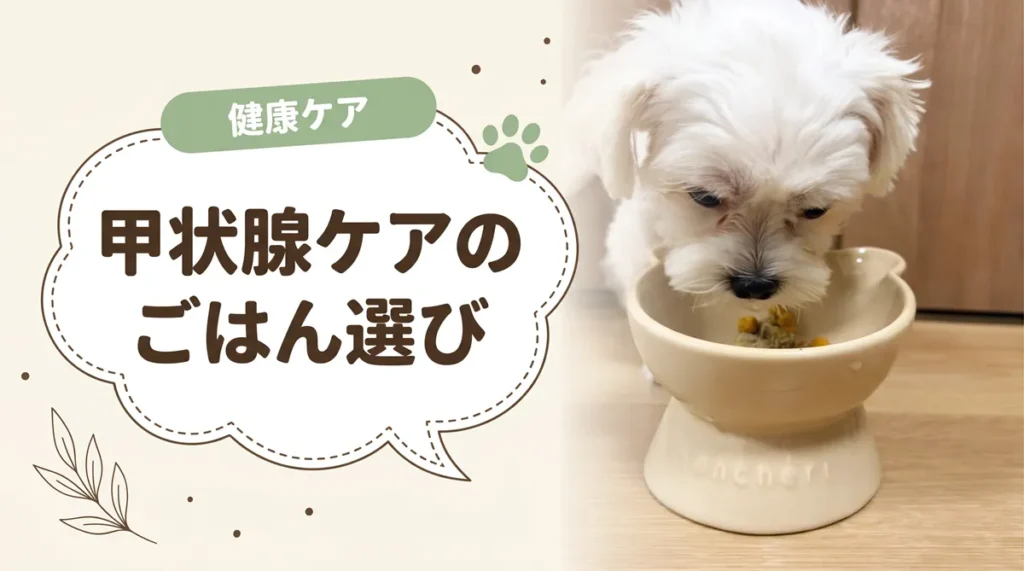 犬の甲状腺機能低下症の食事｜さつまいも・大豆は？フードの選び方