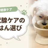 犬の甲状腺機能低下症の食事|さつまいも・大豆は?フードの選び方