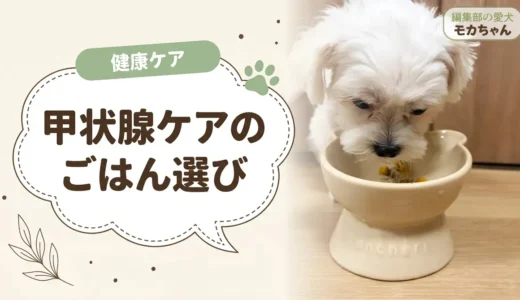 犬の甲状腺機能低下症の食事｜さつまいも・大豆は？フードの選び方
