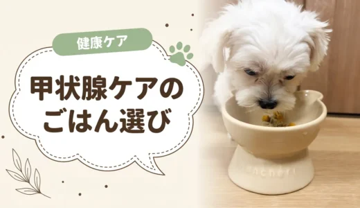 犬の甲状腺機能低下症の食事｜さつまいも・大豆は？フードの選び方