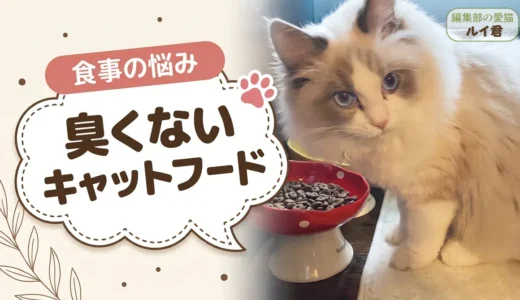 臭くないキャットフード｜フードのにおいと便のにおい、6商品を100g単価で比較