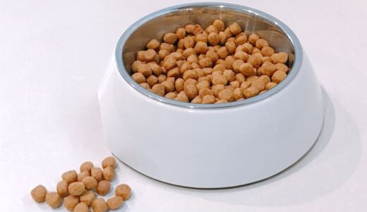 愛犬の甲状腺機能低下症が心配な飼い主さん向け！ドッグフードの選び方やおすすめ商品を紹介