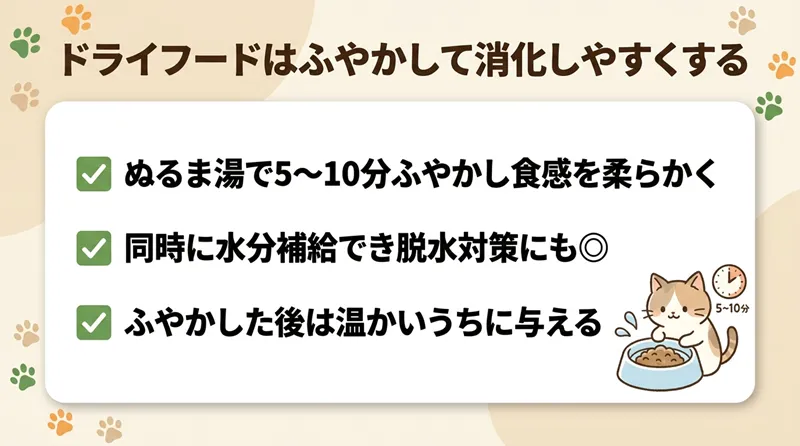 ドライフードはふやかして消化しやすくする