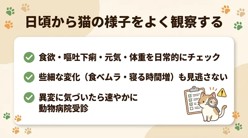 日頃から猫の様子をよく観察する
