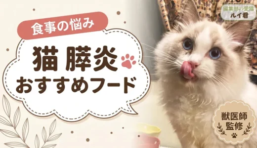 猫の膵炎に低脂肪フードは必要？【獣医師監修】療法食の脂肪量を計算しました