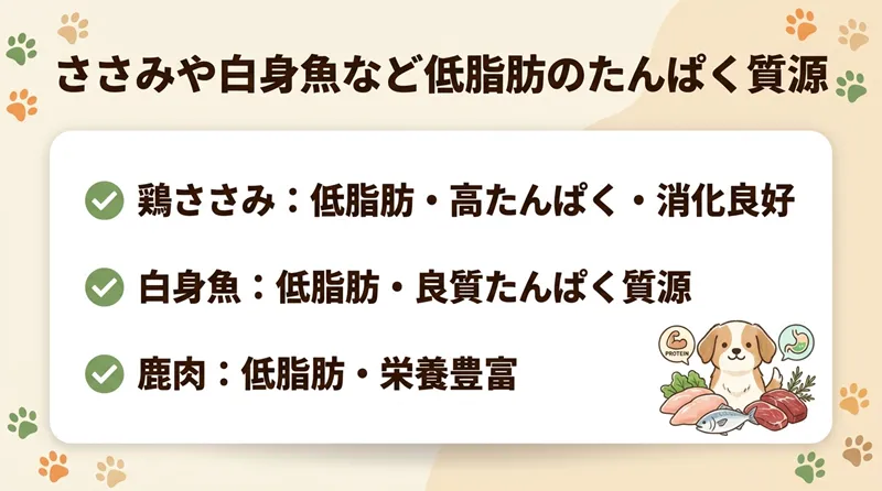 ささみや白身魚など低脂肪のたんぱく質源