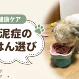 犬の胆泥症のフード選び【獣医師監修】療法食との違い・食べていい食材・市販フード8選