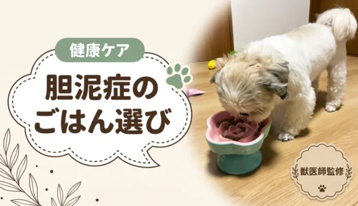 犬の胆泥症のフード選び【獣医師監修】療法食との違い・食べていい食材・市販フード8選