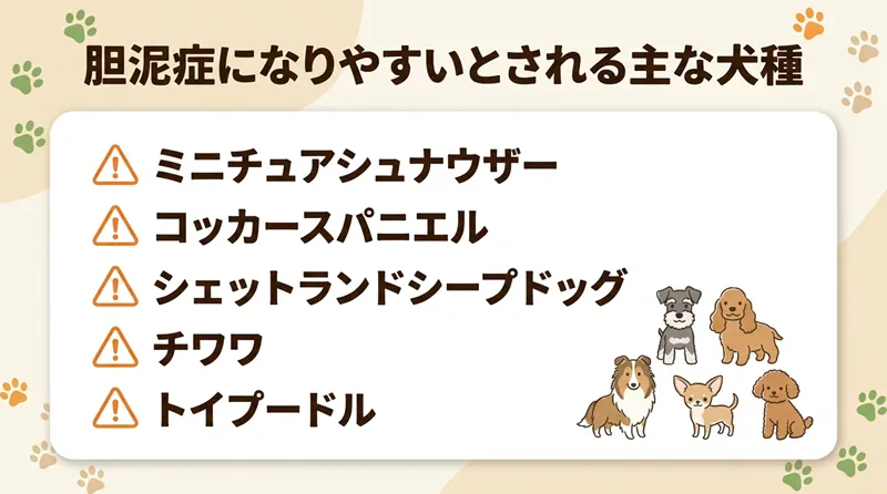 胆泥症になりやすいとされる主な犬種