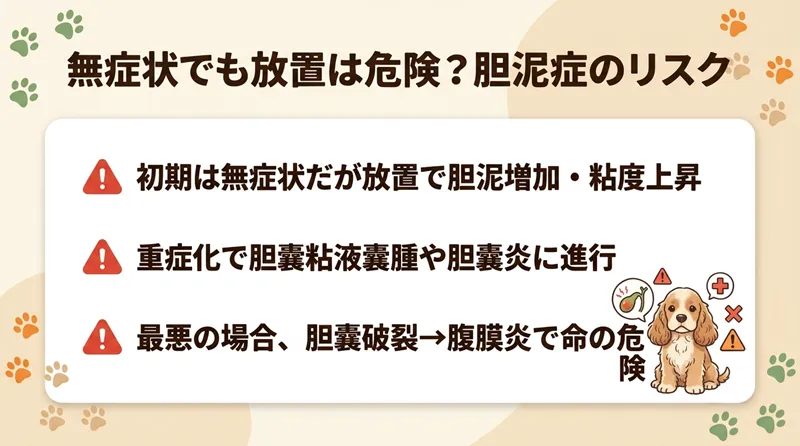 無症状でも放置は危険？胆泥症のリスク