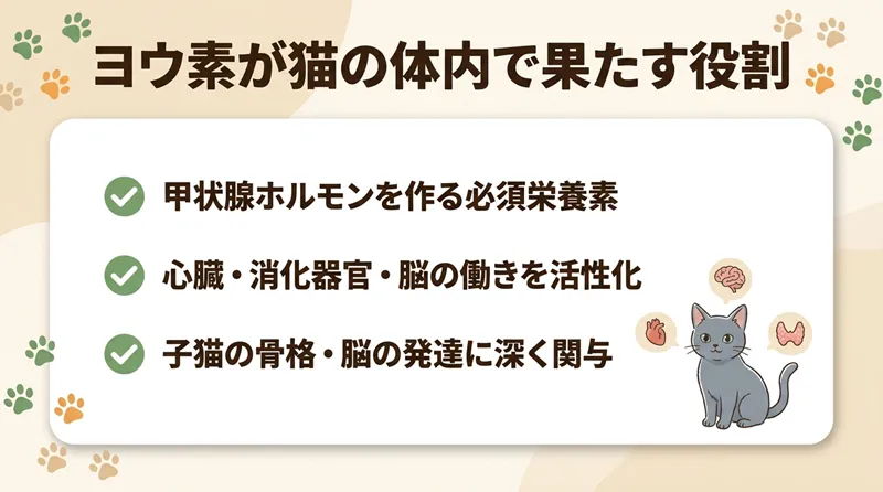 ヨウ素が猫の体内で果たす役割