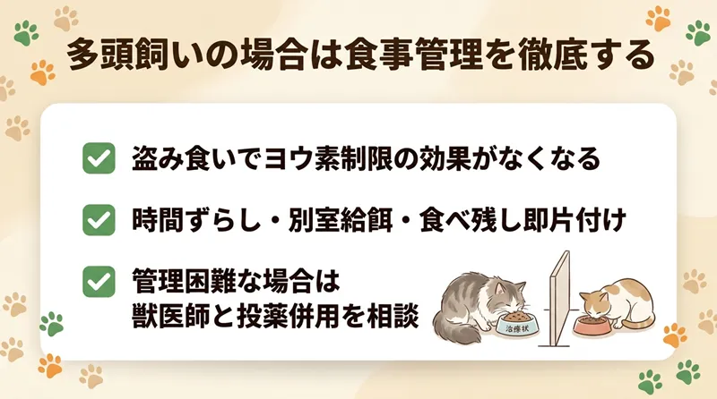 多頭飼いの場合は食事管理を徹底する