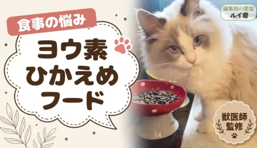ヨウ素が少ないキャットフード｜原材料表示を1つずつ確認した結果【獣医師監修】