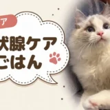 猫の甲状腺機能亢進症の市販フード|ヨウ素量と海藻の有無を5商品で確認しました