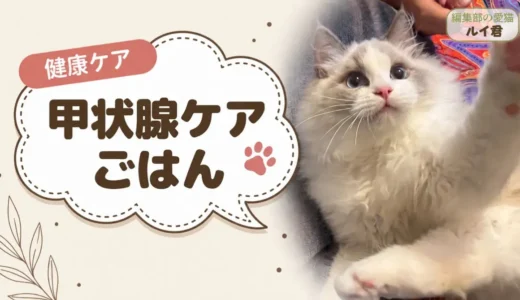 猫の甲状腺機能亢進症の市販フード｜ヨウ素量と海藻の有無を5商品で確認しました