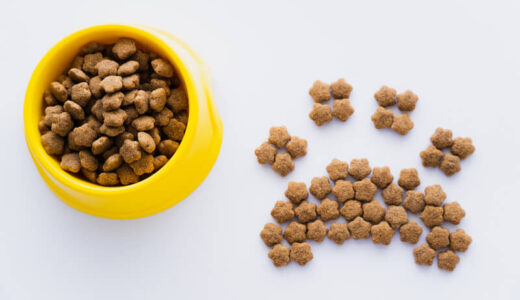 猫用総合栄養食・カリカリのおすすめ市販ランキング22選！安くて安全なドライフードの選び方も解説