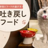 13574アイキャッチ