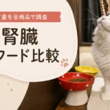 13581アイキャッチ