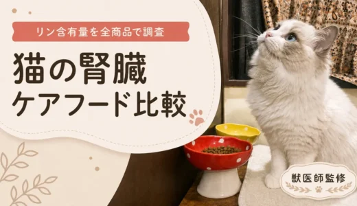 猫の腎臓ケアフード比較｜リン含有量を全商品で調べた結果【獣医師監修】