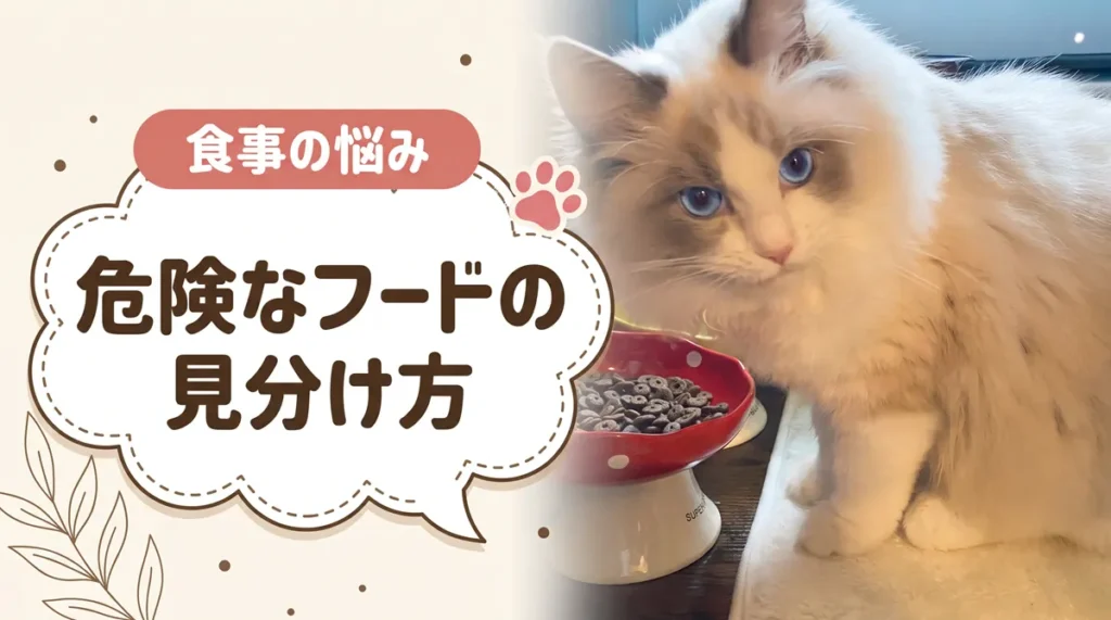 買わない方がいいキャットフードとは？パッケージ裏で分かる見分け方