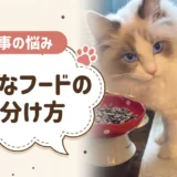 買わない方がいいキャットフードとは?パッケージ裏で分かる見分け方